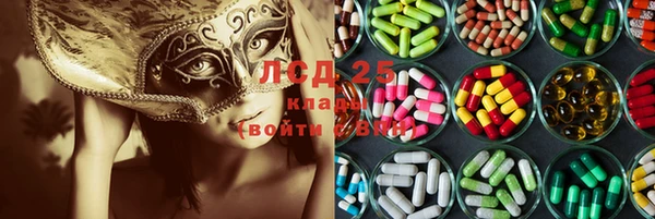 ПСИЛОЦИБИНОВЫЕ ГРИБЫ Алексеевка